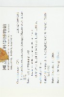 王瓜藏品圖，第2張