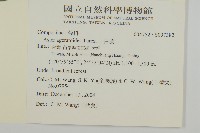 山白蘭藏品圖，第2張