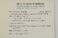 草珊瑚、紅果金粟蘭藏品圖，第2張