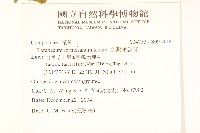 臺灣蒲公英藏品圖，第2張