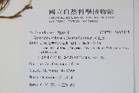 武靴藤藏品圖，第2張