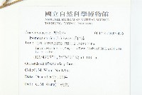 番仔藤藏品圖，第2張