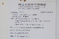 鵝掌柴、江某、鴨腳樹藏品圖，第2張