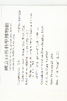 黑果馬交兒藏品圖，第2張