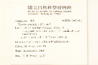 印加孔雀草藏品圖，第2張