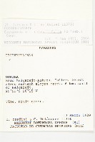 登錄號:S097472藏品圖，第2張