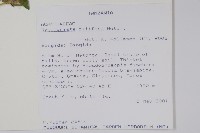 登錄號:S097478藏品圖，第2張