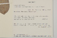 裸實藏品圖，第2張