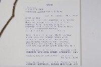 登錄號:S097543藏品圖，第2張