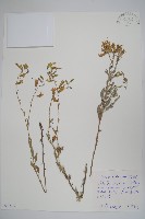 登錄號:S097567藏品圖，第1張