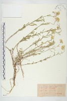 登錄號:S097571藏品圖，第1張