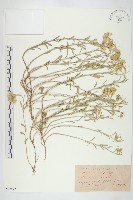 登錄號:S097572藏品圖，第1張