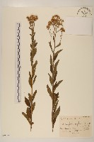 登錄號:S097573藏品圖，第1張