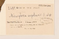 登錄號:S097573藏品圖，第2張