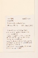 水紅木藏品圖，第4張