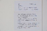 野扇花藏品圖，第2張