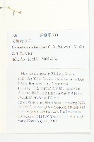 長葉絞股藍藏品圖，第2張