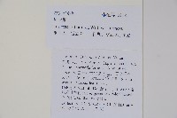 鬼吹簫藏品圖，第2張