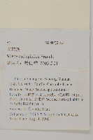 老鸛筋藏品圖，第2張