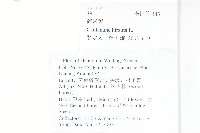 碎米薺藏品圖，第2張