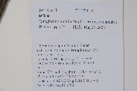 中國勿忘草藏品圖，第2張