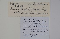 漾濞莢迷藏品圖，第2張