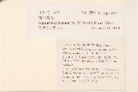 寬戟橐吾藏品圖，第2張