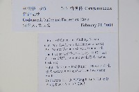 管鐘黨參藏品圖，第2張