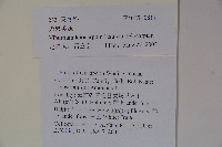 光果莢迷藏品圖，第2張