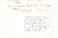 蔓黃菀藏品圖，第2張