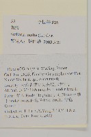 繁縷藏品圖，第2張