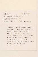 圓舌粘冠草藏品圖，第2張