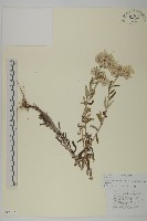 抱莖籟簫藏品圖，第1張