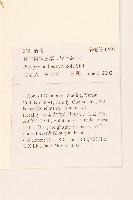 林生假福王草藏品圖，第2張