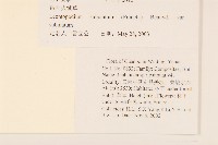 鑽葉火絨草藏品圖，第2張