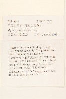 圓舌粘冠草藏品圖，第2張