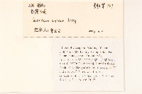 華蒲公英藏品圖，第2張