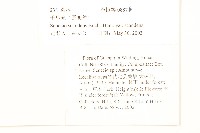 蔓黃菀藏品圖，第2張