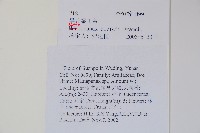 異葉梁王茶藏品圖，第2張