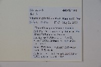 水紅木藏品圖，第2張