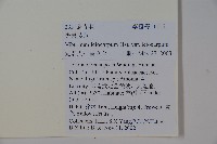 光果莢迷藏品圖，第2張