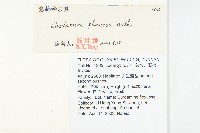 焊菜藏品圖，第2張