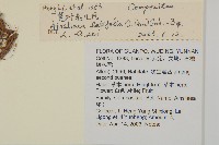 台灣鬼督郵藏品圖，第2張