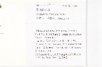 焊菜藏品圖，第2張