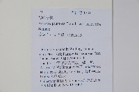 綠粉葉小檗藏品圖，第2張