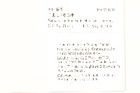 蔓黃菀藏品圖，第2張