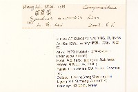 苦苣菜藏品圖，第2張