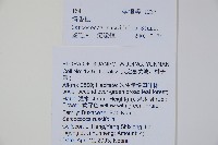 野扇花藏品圖，第2張