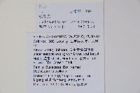 三角咪草藏品圖，第2張