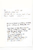 頭狀四照花藏品圖，第2張